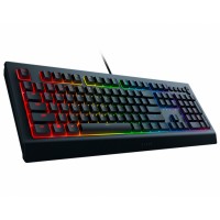 Клавиатура RAZER Cynosa V2 RU (RZ03-03400700-R3R1) Клавиатура RAZER Cynosa V2 RU (RZ03-03400700-R3R1)