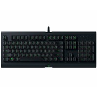 Клавиатура RAZER Cynosa Lite RU (RZ03-02741500-R3R1)