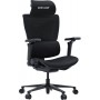 Кресло игровое Anda Seat X-Air Pro Size L Mesh Black (AD-WY-01--B01)