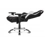 Кресло Akracing Premium V2 K700A Black&Silver Кресло Akracing Premium V2 K700A Black&Silver