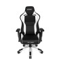 Кресло Akracing ProX CPX-11 Black&White