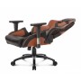 Кресло Akracing ProX CP-LY Black&Brown