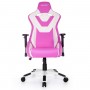 Кресло Akracing ProX CP-LY Pink&White