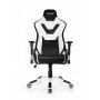 Кресло геймерское Akracing ProX CP-LY White&Black