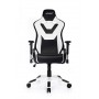 Кресло геймерское Akracing ProX CP-LY White&Black