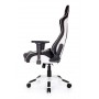 Кресло геймерское Akracing ProX CP-LY White&Black