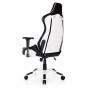 Кресло геймерское Akracing ProX CP-LY White&Black