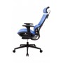 Кресло эргономичное GT RACER X-D20 BLUE Кресло эргономичное GT RACER X-D20 BLUE