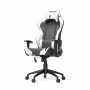 Кресло геймерское Vertagear Racing Series S-Line SL2000 Black/White Edition VG-SL2000_WT