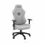 Крісло ігрове Anda Seat Phantom 3 Size L Grey (AD18Y-06-G-F)