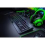 Игровая клавиатура RAZER BlackWidow Green Switch (RZ03-02861100-R3R1)