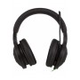 Игровая гарнитура Razer Kraken USB Essential V2 (RZ04-01720100-R3R1) Игровая гарнитура Razer Kraken USB Essential V2 (RZ04-01720100-R3R1)